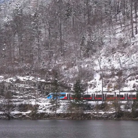 Snowfall in park